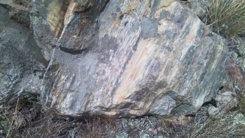 Гигантские зелёные валуны для ландшафтного дизайна весом более 5 тонн купить в Барабинске